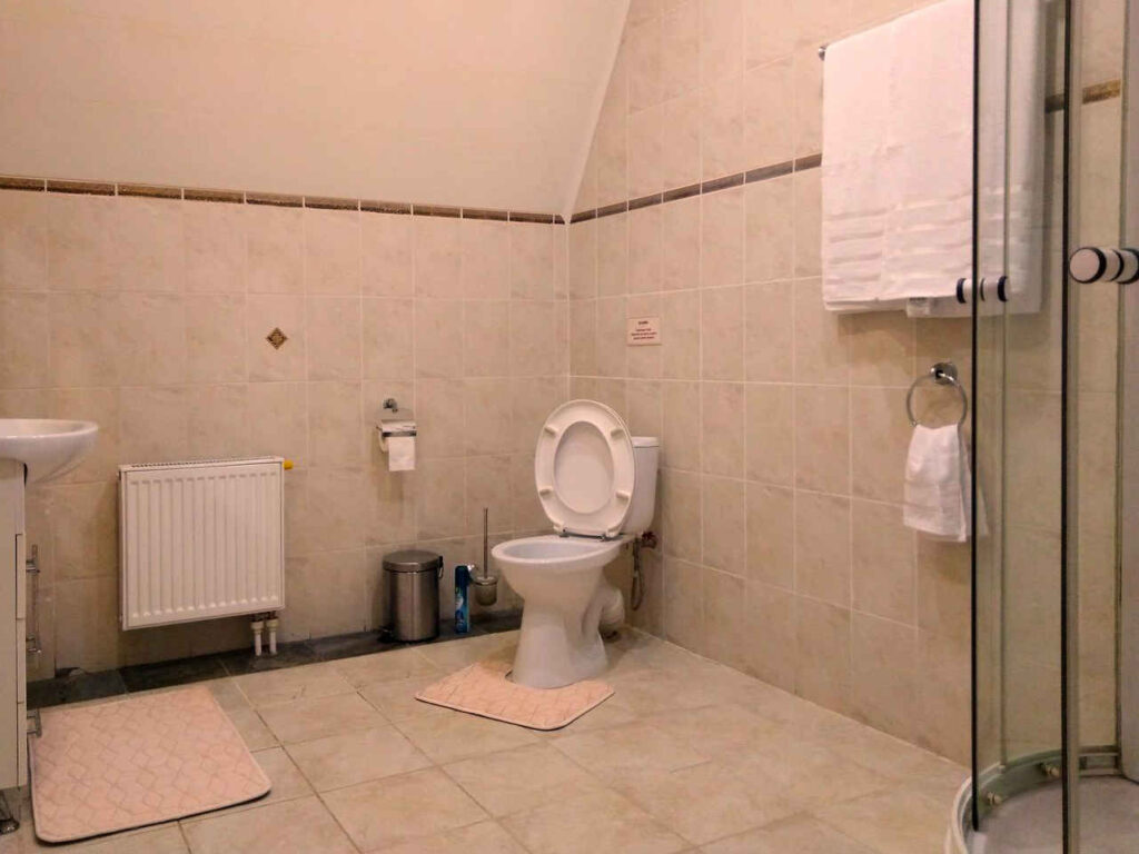 Бывший отель Альпенхоф, Банное, Башкирия