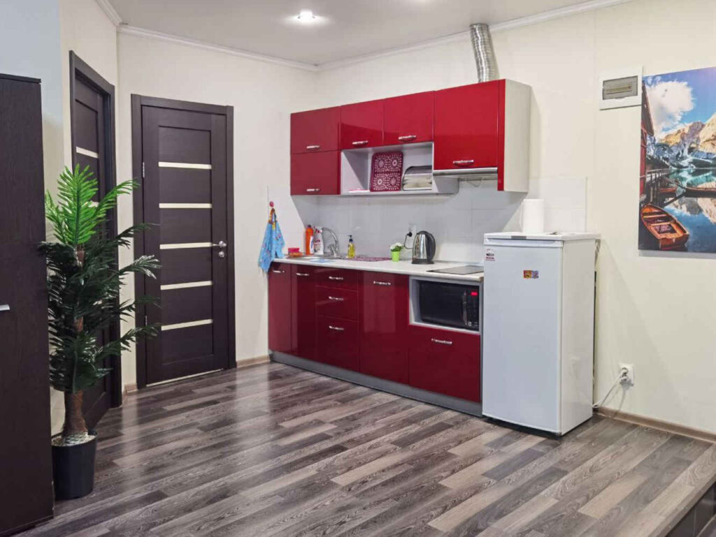 Апартаменты 40 м², Родина Делюкс