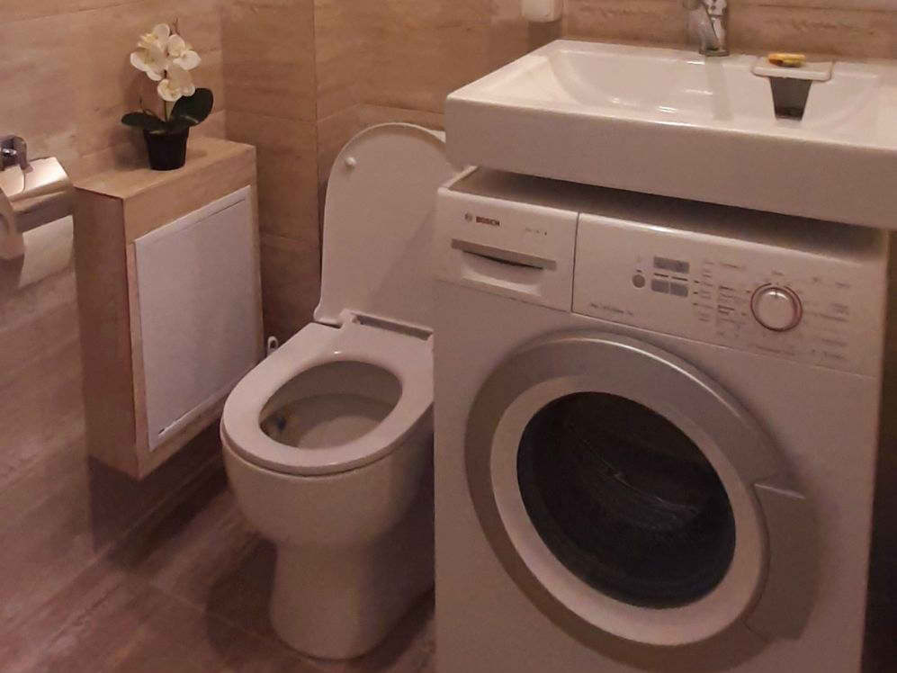 Банное квартира студия, Родина